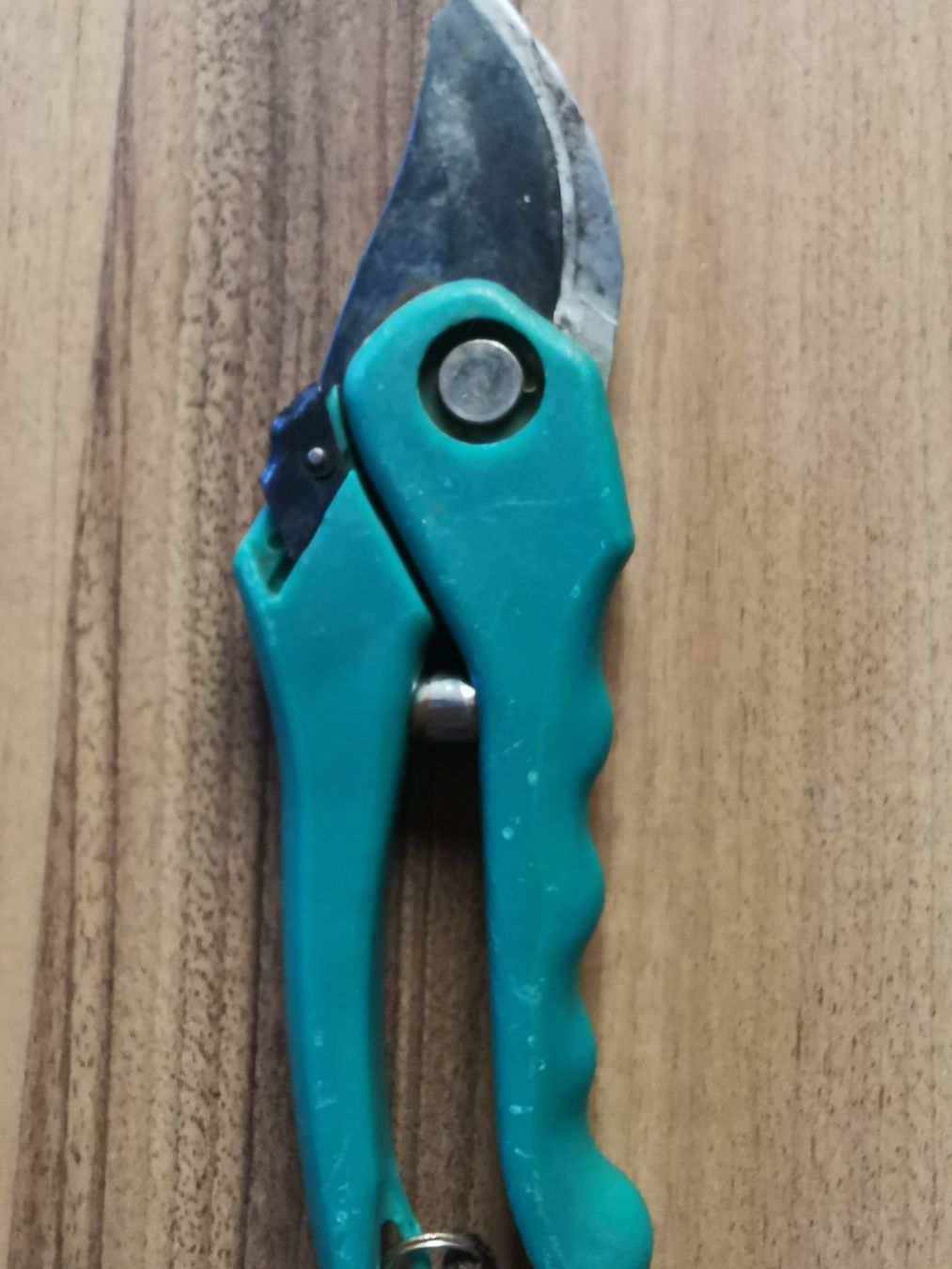 Tous les outils: Gartenschere – D'occasion à Glattfelden par sut_q8d2 2