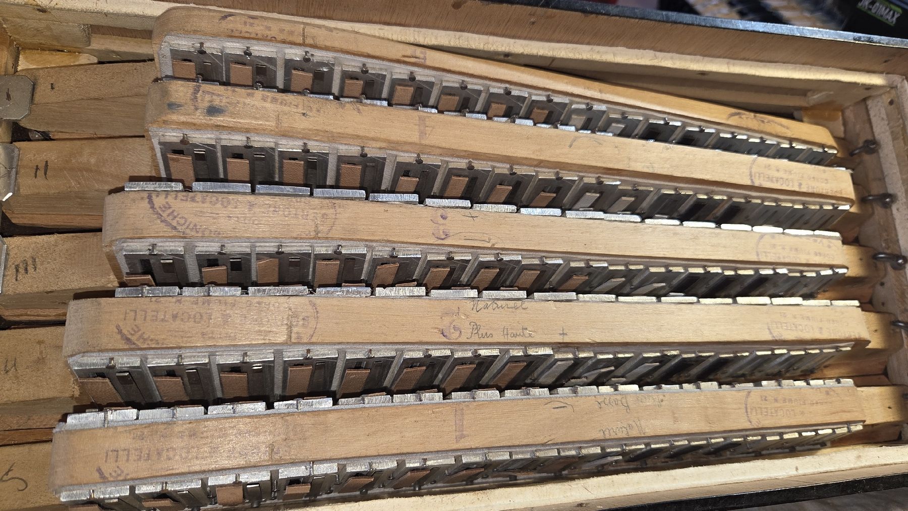 Strumenti musicali: Accordéon Bertoni Locatelli  – Difettoso da Penthalaz venduto da EvandroLuz 5