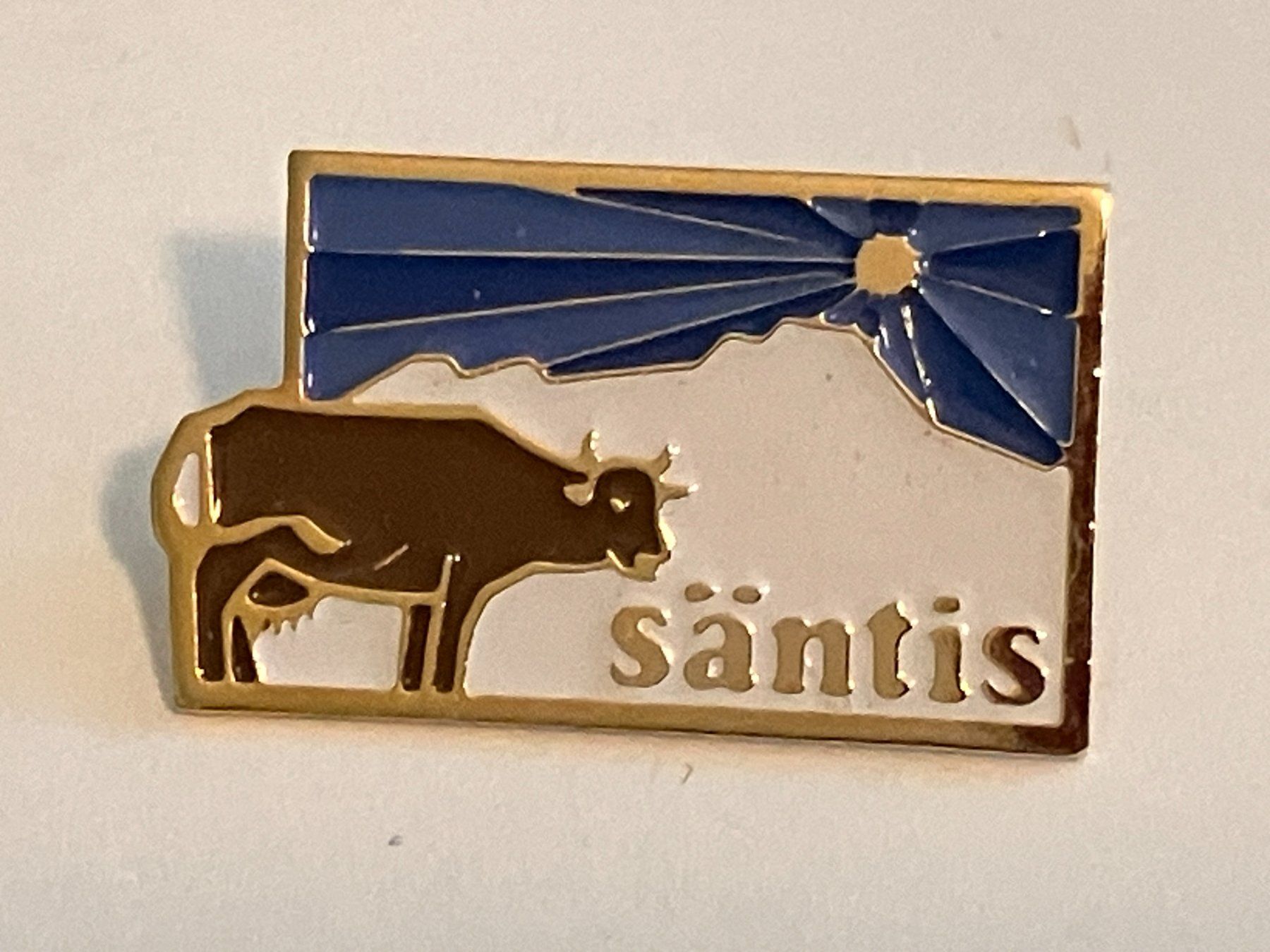 Placchette & Badge: 1 Pin Säntis – Usato da Basel venduto da djwwpp