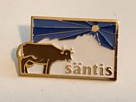 1 Pin Säntis