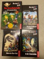 Die drei ??? Kids Bücher 4 Stück