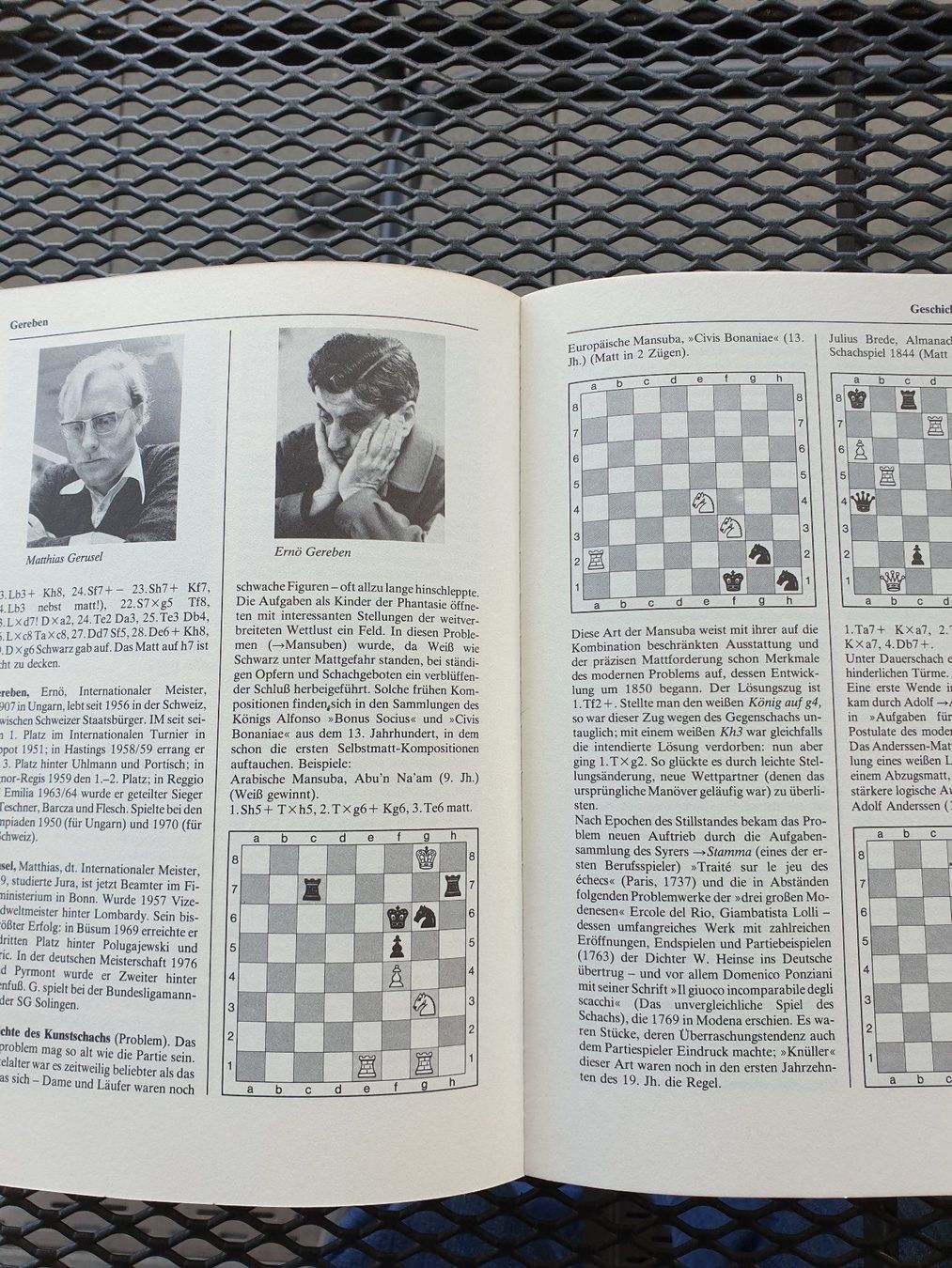 Libri: Schachbuch Das grosse Schachlexikon – Usato da Muttenz venduto da Langerochade 2
