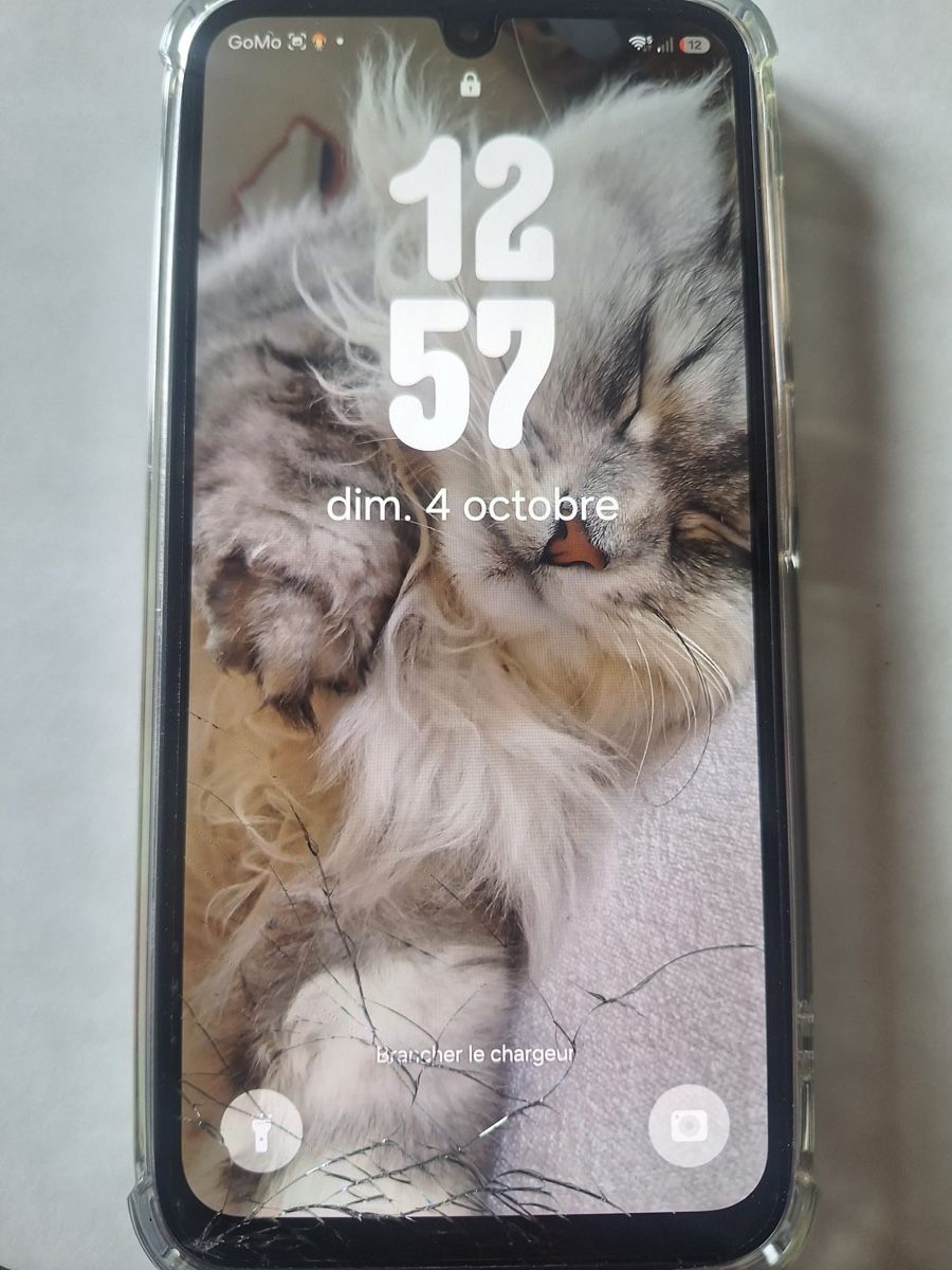 Samsung Telefoni cellulari / Smartphones: Samsung Galaxy A16 - 4G - 128G – Usato da St-Légier-Chiésaz venduto da zik_q8g7