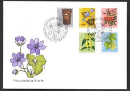 FDC Pro Juventute Serie 1975 J252 - J256 ET Bern 27.11.1975
