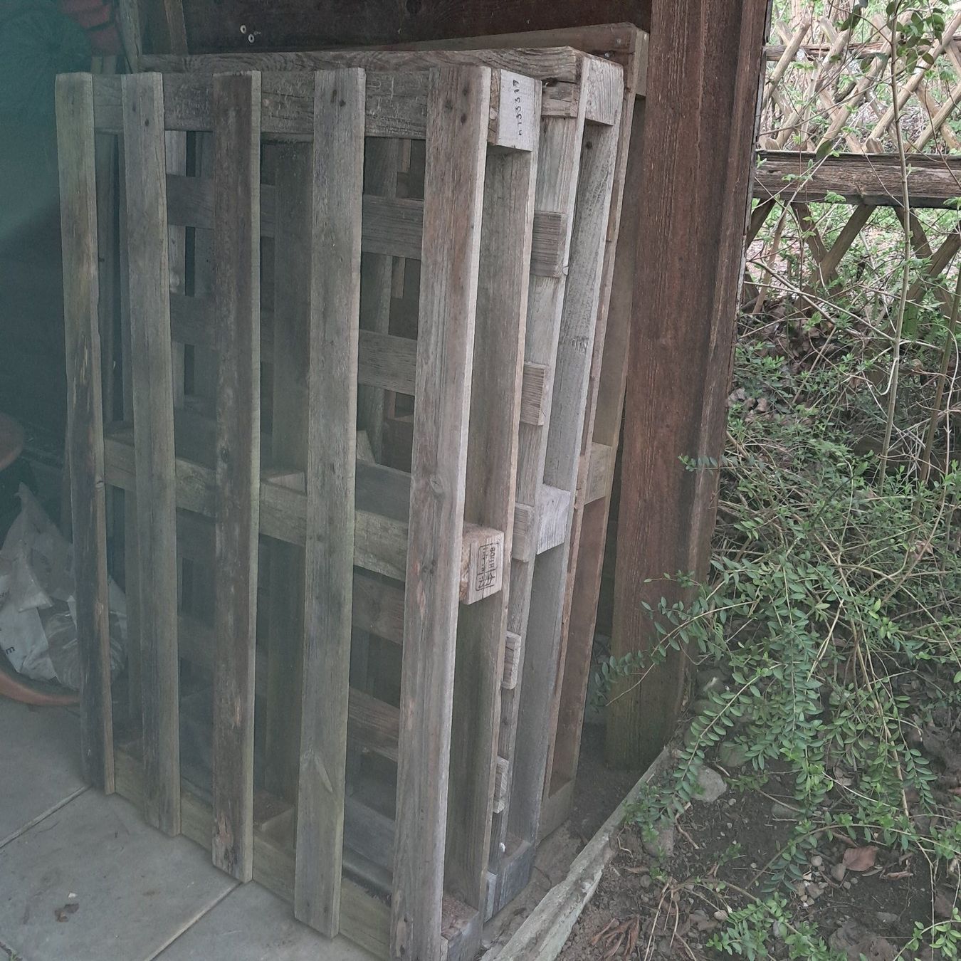 Articoli in legno: 4 Europalette – Usato da Zürich venduto da Zaira_Vaterunser