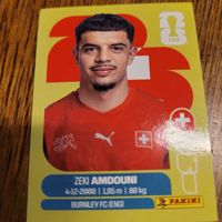 Panini 2026 AMDOUNI