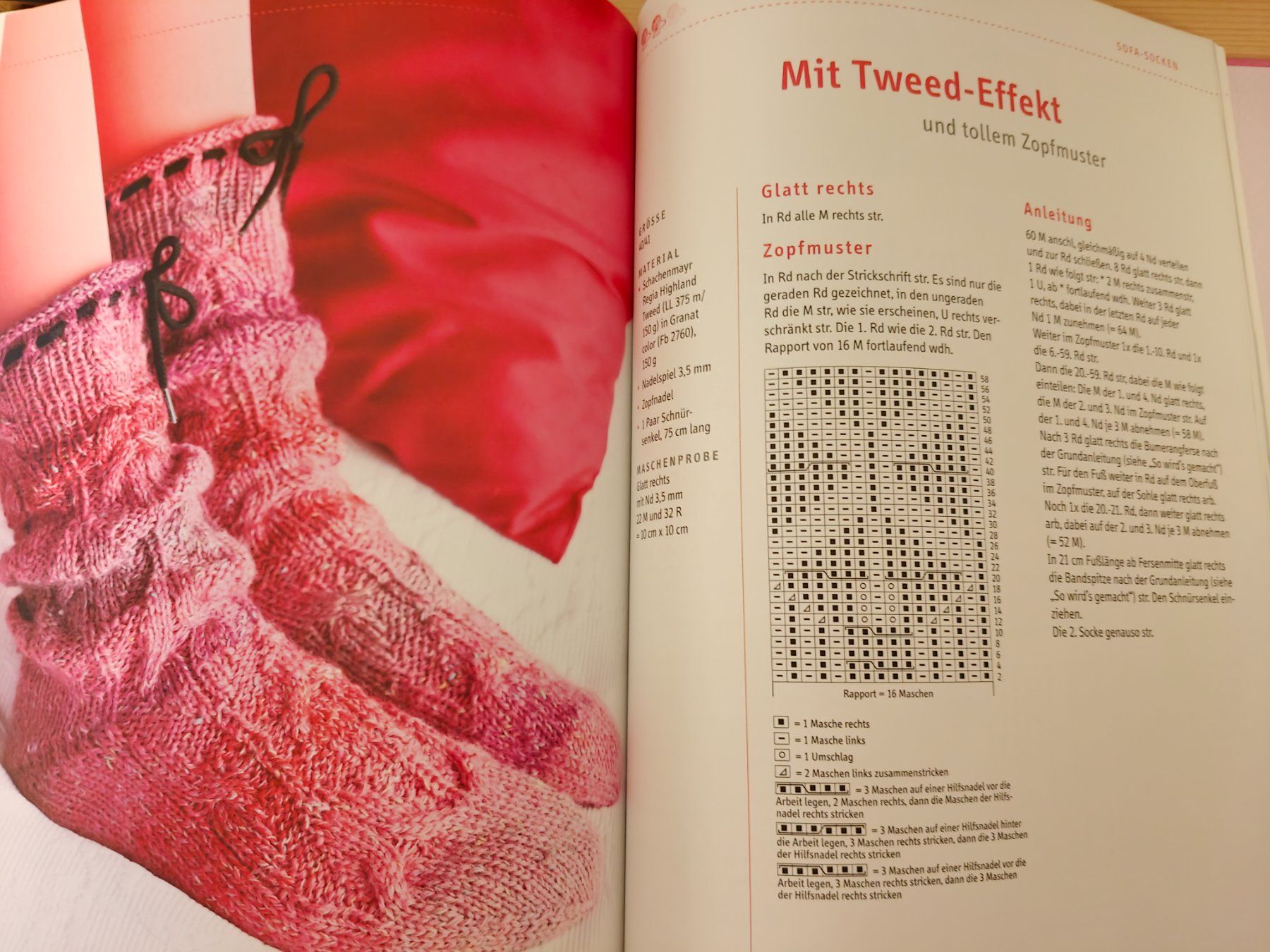 Bücher: Das grosse Sockenbuch / Topp 2013 - 45 tolle Designs – Gebraucht aus Muttenz von Negnuja 4
