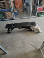 Verstellbare Bench/ Bank Fitness