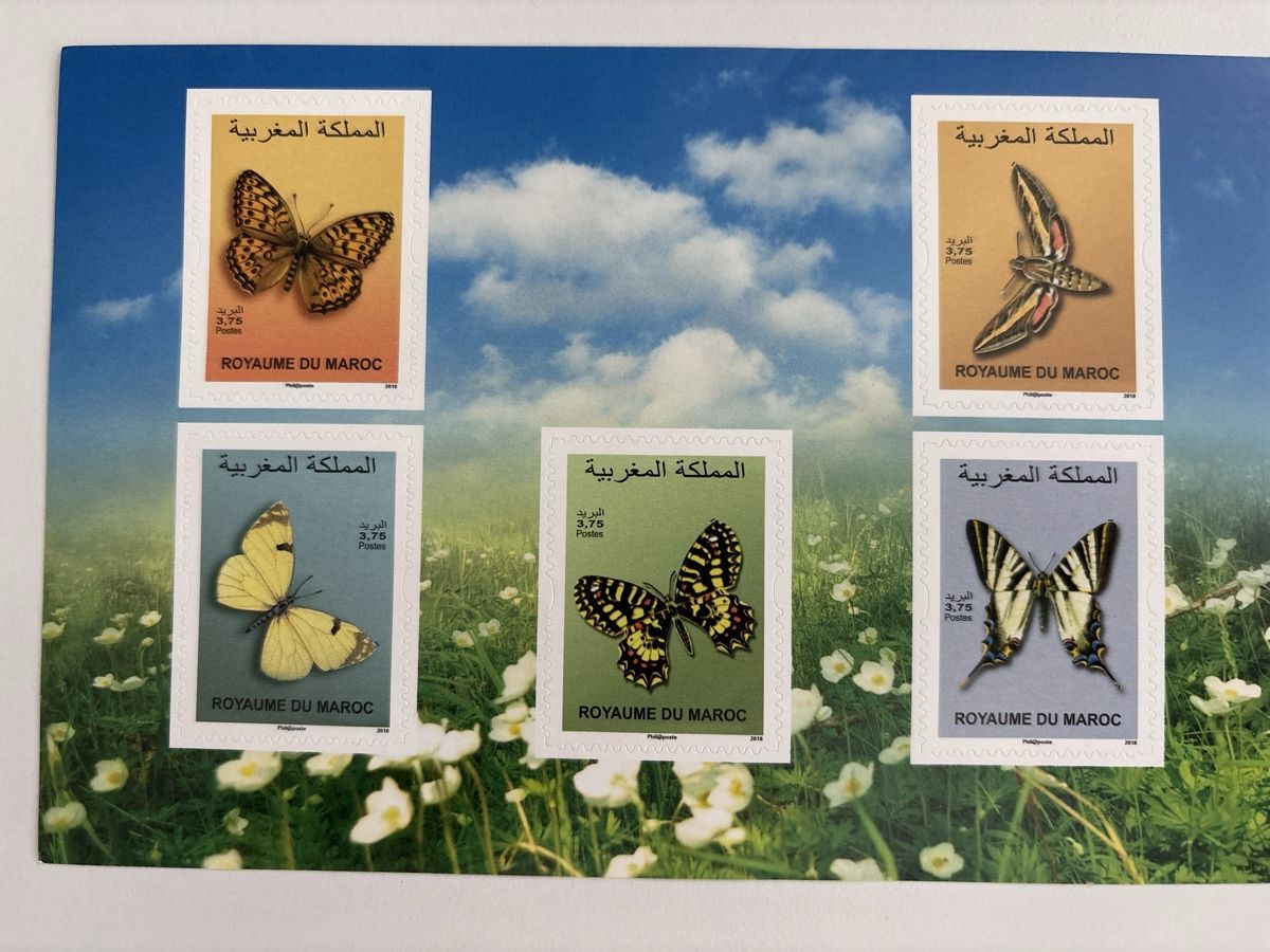 Tutti i francobolli: Maroc Marokko carnet Schmetterlinge papillons 2018 – Nuovo e nell'imballaggio originale da Zürich venduto da b.fabio