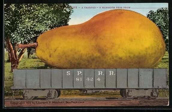 Cartes postales: Riesige Birne wird mit einem Eisenbahnwa – D'occasion à Berlin par bartko-reher