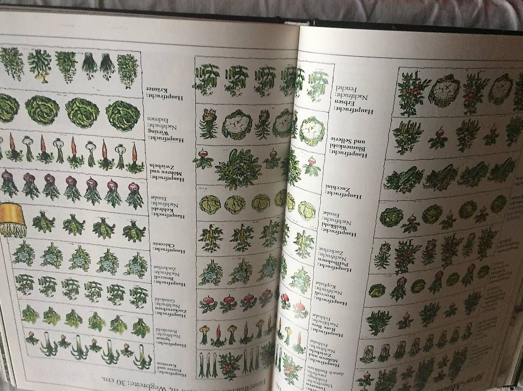 Bücher: Garten- und Kochbuch – Gebraucht aus Ennetbürgen von Dosi6 3