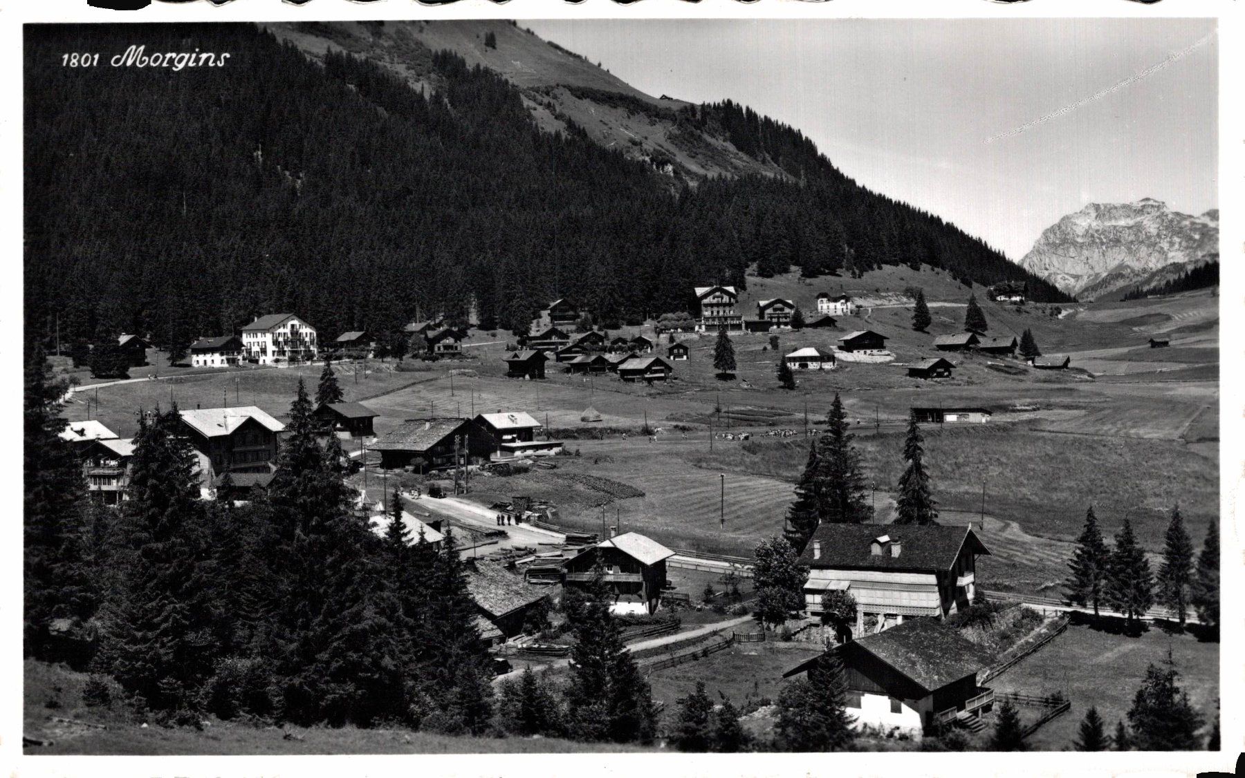 Cartoline postali: Morgins – Usato da Bronschhofen venduto da Astore