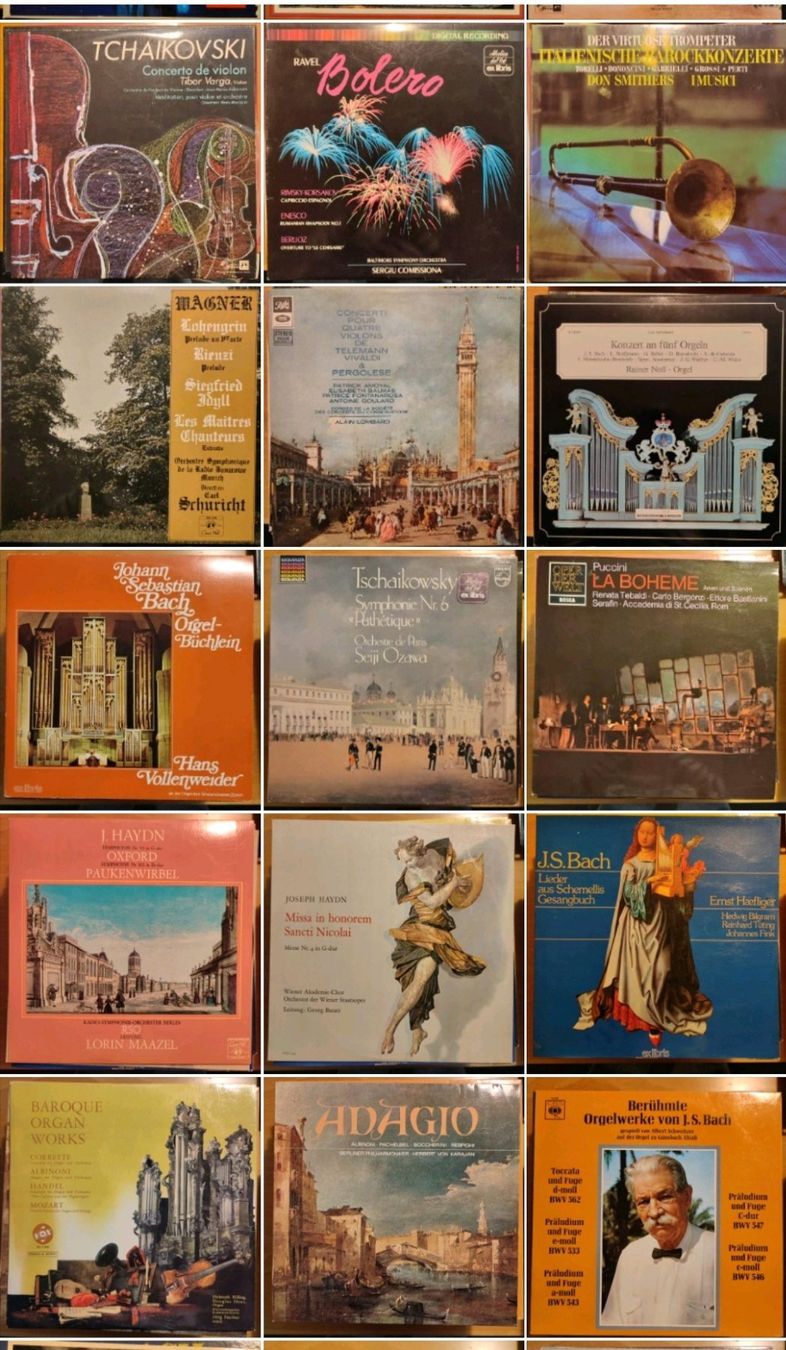 Dischi in vinile: diverse Schallplatten (2 CHF pro Stk.) – Usato da Zollikofen venduto da ayl_p5gv 2