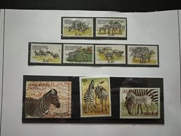 Ingushetia/ Ruanda/Guinea Zebra Serie  **  und gest. (A985)