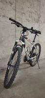 Mountainbike Arrow ( in gutem Zustand)