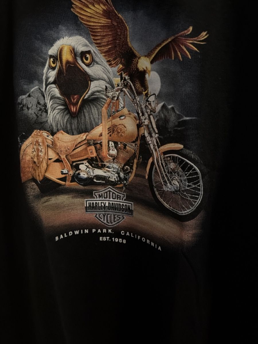 Harley-Davidson T-shirt: Harley-Davidson t-shirt  – Usato da Sementina venduto da bru_vpp5 3