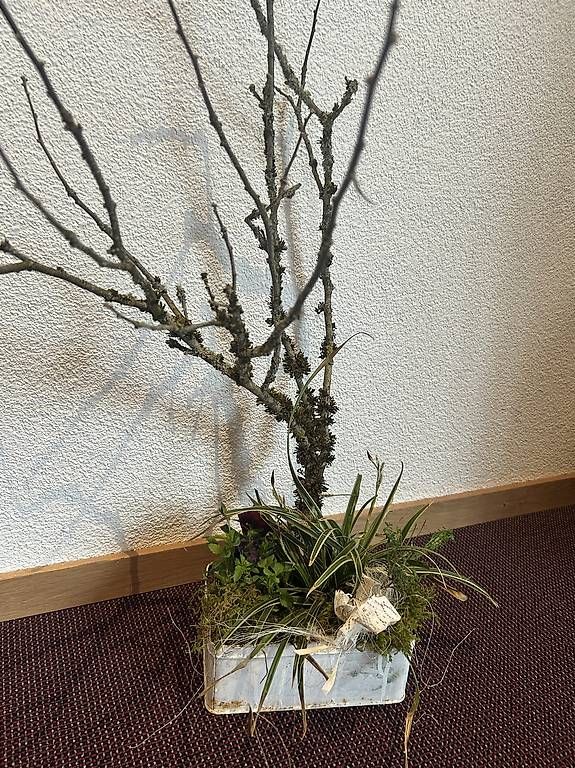 Tutte le decorazioni: Arrangement in der Guetzlidose  – Usato da Frauenfeld venduto da Irene.Schuppli