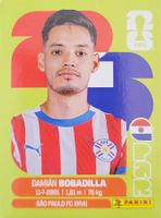 Panini FIFA World Cup PAR 11