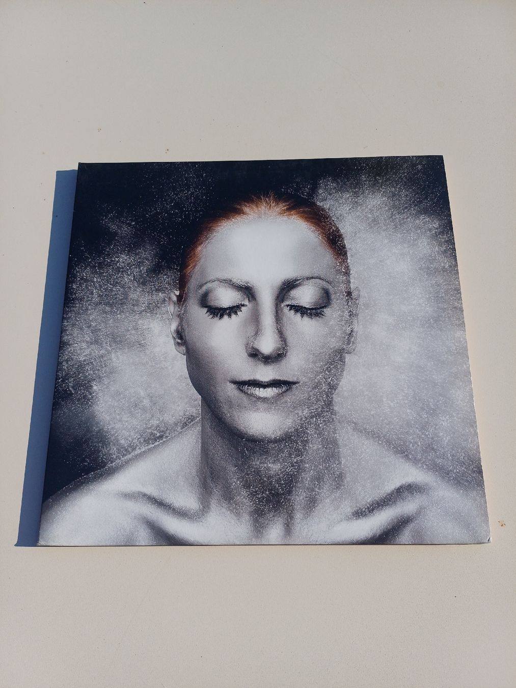 Dischi in vinile: Ellen Allien "Dust" LP – Usato da Begnins venduto da Drastic-Sound