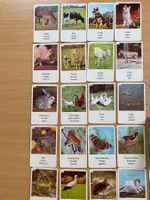 Altes Quartett-Spiel F.X. Schmid, komplett, Vintage Tiere