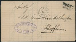 LU Wauwil - Zwergstempel - Buchs - Stabstempel - Brief