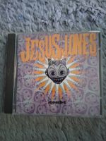 JESUS JONES    DOUBT     CD