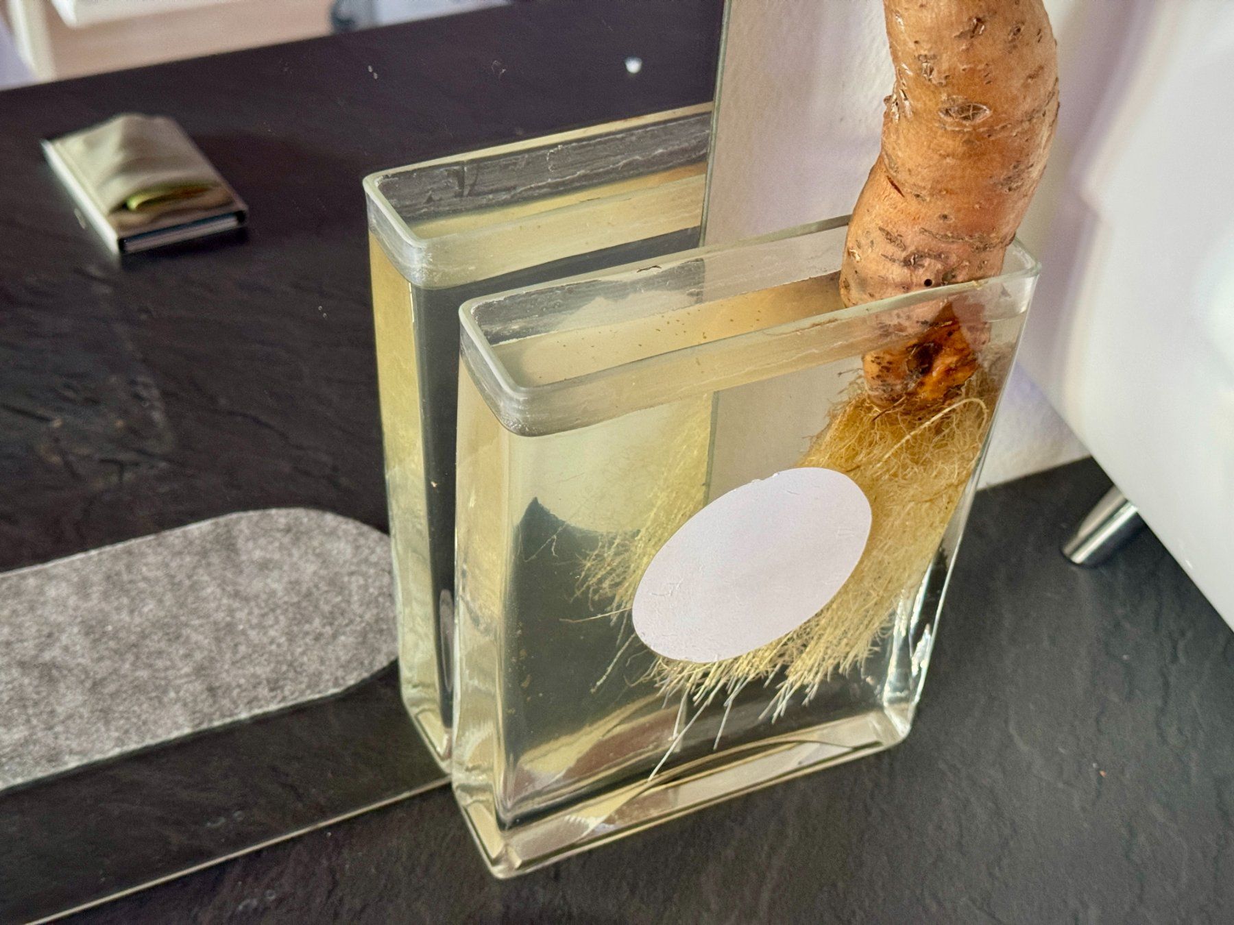 Vasen & Gefässe: Schmale moderne Vase – Gebraucht aus Schlieren von Edgar_k