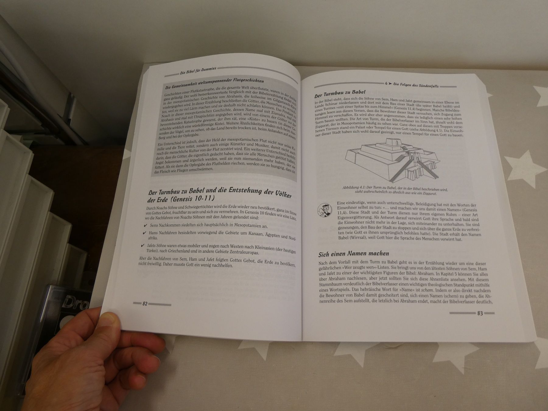 Libri: Buch: Die Bibel für Dummies – Usato da Rafz venduto da Powacaddy 3