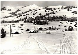 Col des Mosses - Retaurant + Skilift Lécherette