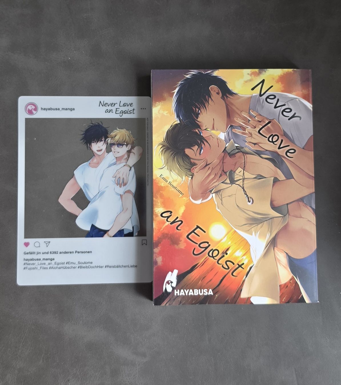 Comics: Never Love an Egoist - Manga, Hayabusa - Top Zustand! – Neu (gemäss Beschreibung) aus Turgi von Swissrico08 1