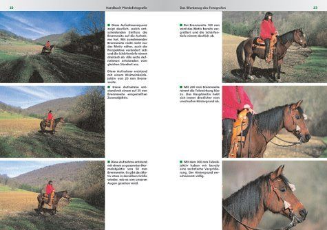 Libri: Handbuch Pferdefotographie – Nuovo (secondo la descrizione) da Sarnen venduto da Livres 3