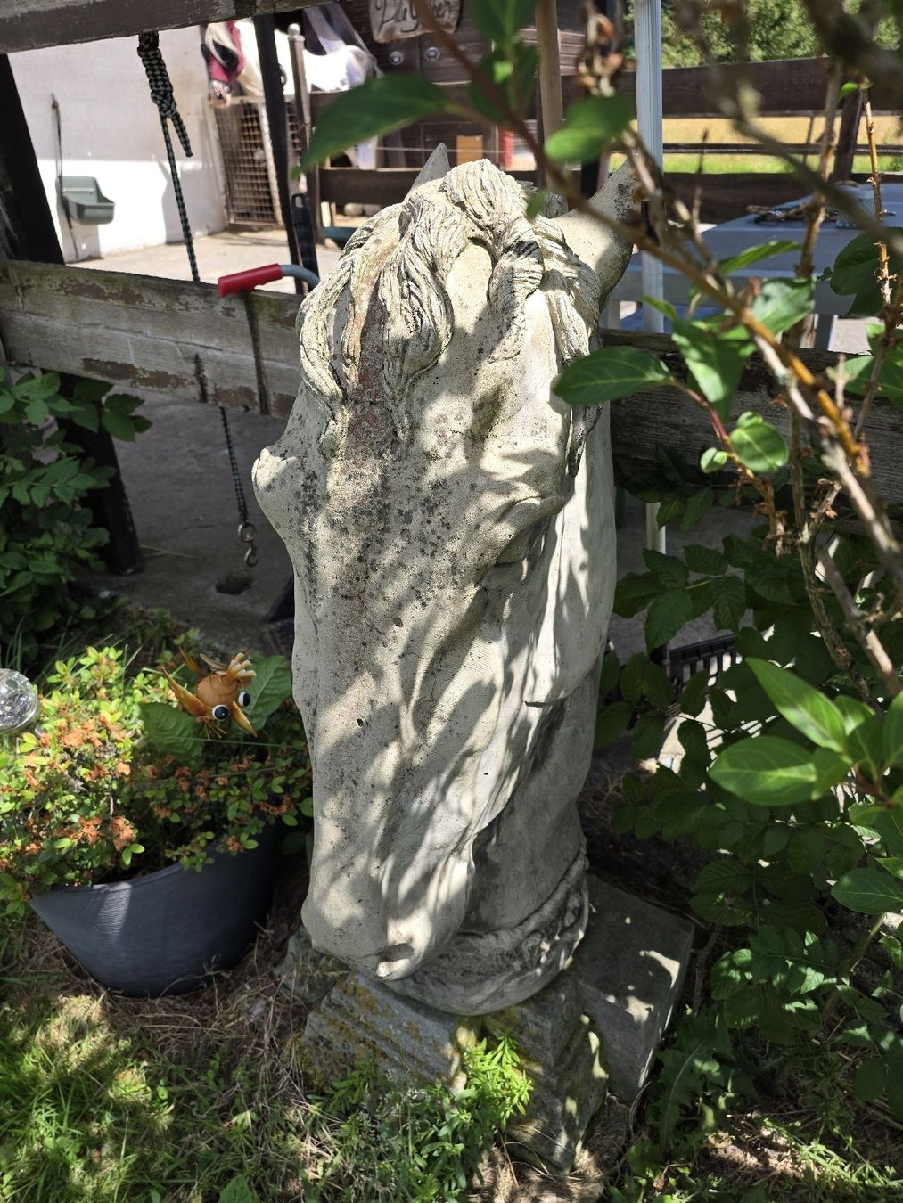 Sculptures & Statues: Pferdekopf Statue – D'occasion à Schübelbach par orson82 2