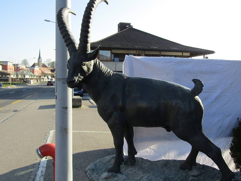 Sculptures & Statues: Steinbock in Lebensgrösse  - Bronze – D'occasion à Herzogenbuchsee par Winigo 4