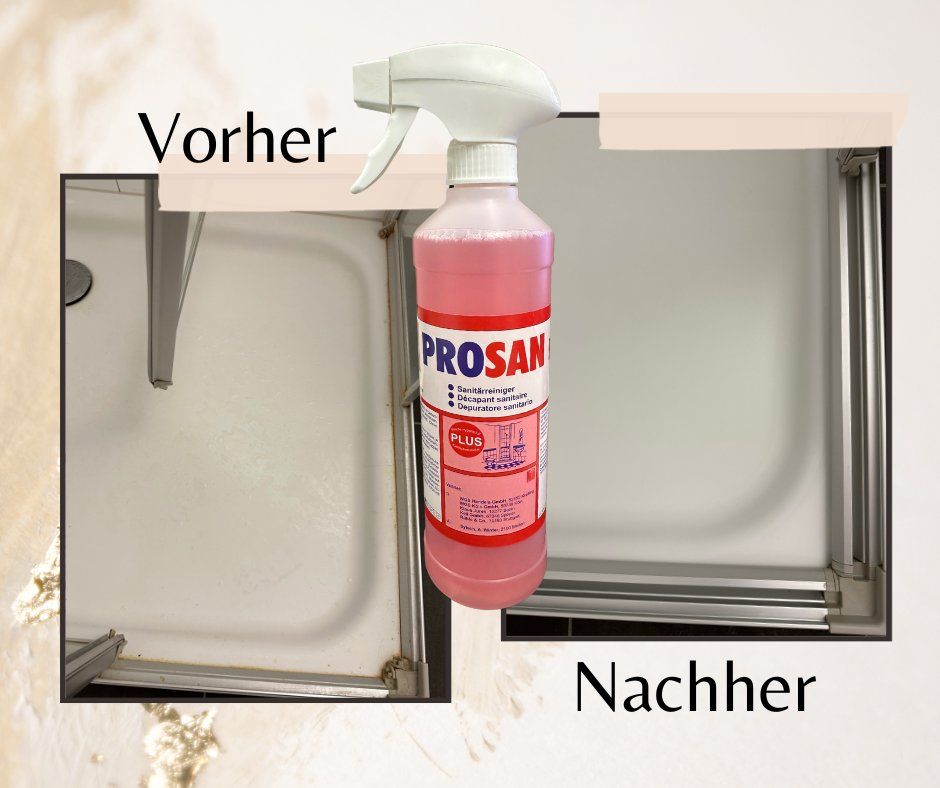 Prodotti di pulizia: Badreiniger Prosan – Nuovo e nell'imballaggio originale da Flawil venduto da Osterwalder_ht_ag 2