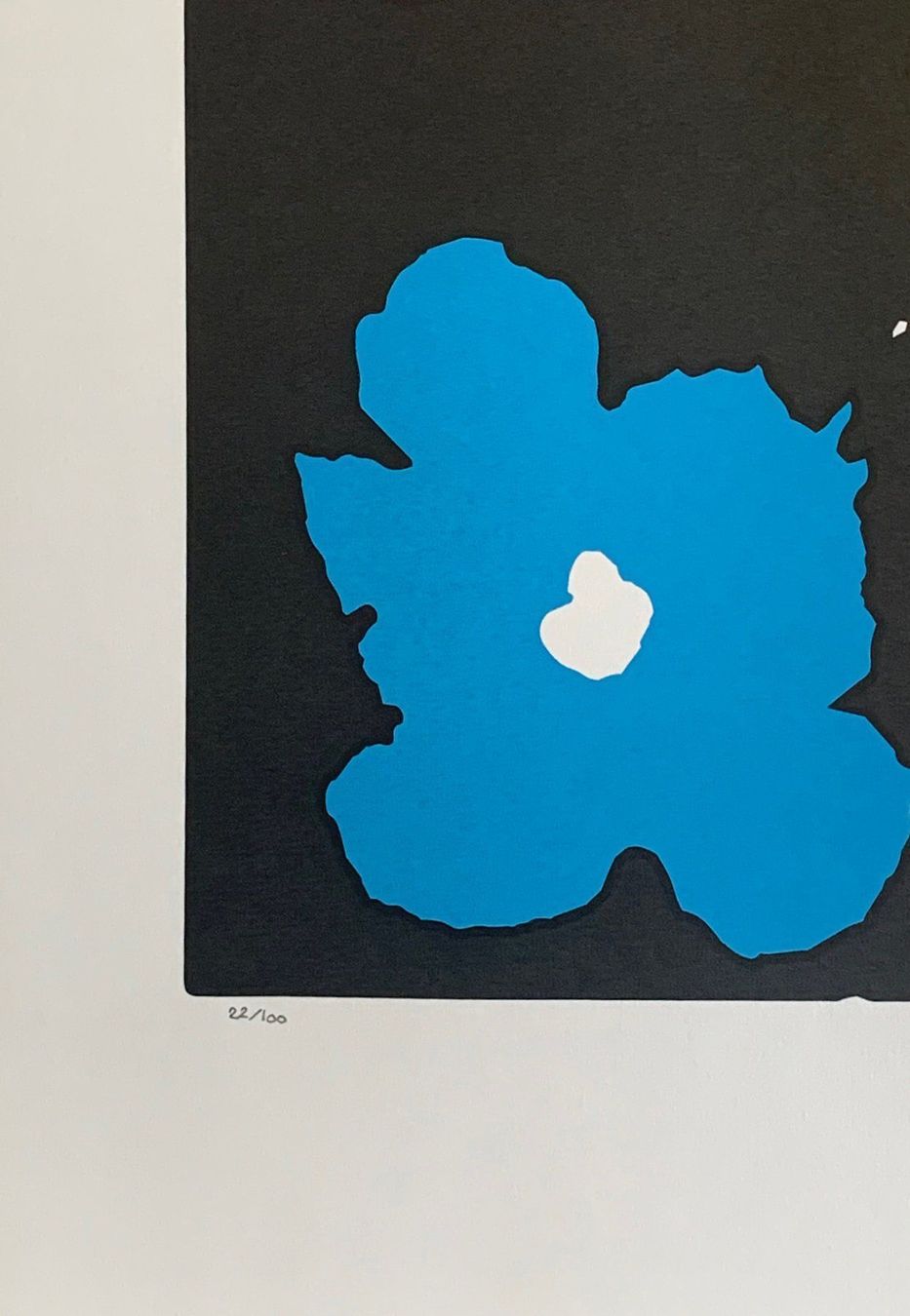 Foto & Immagini: Andy Warhol - Flowers 22/100 - Neu eingetroffen – Nuovo e nell'imballaggio originale da Adligenswil venduto da O_D_E_O_N 2