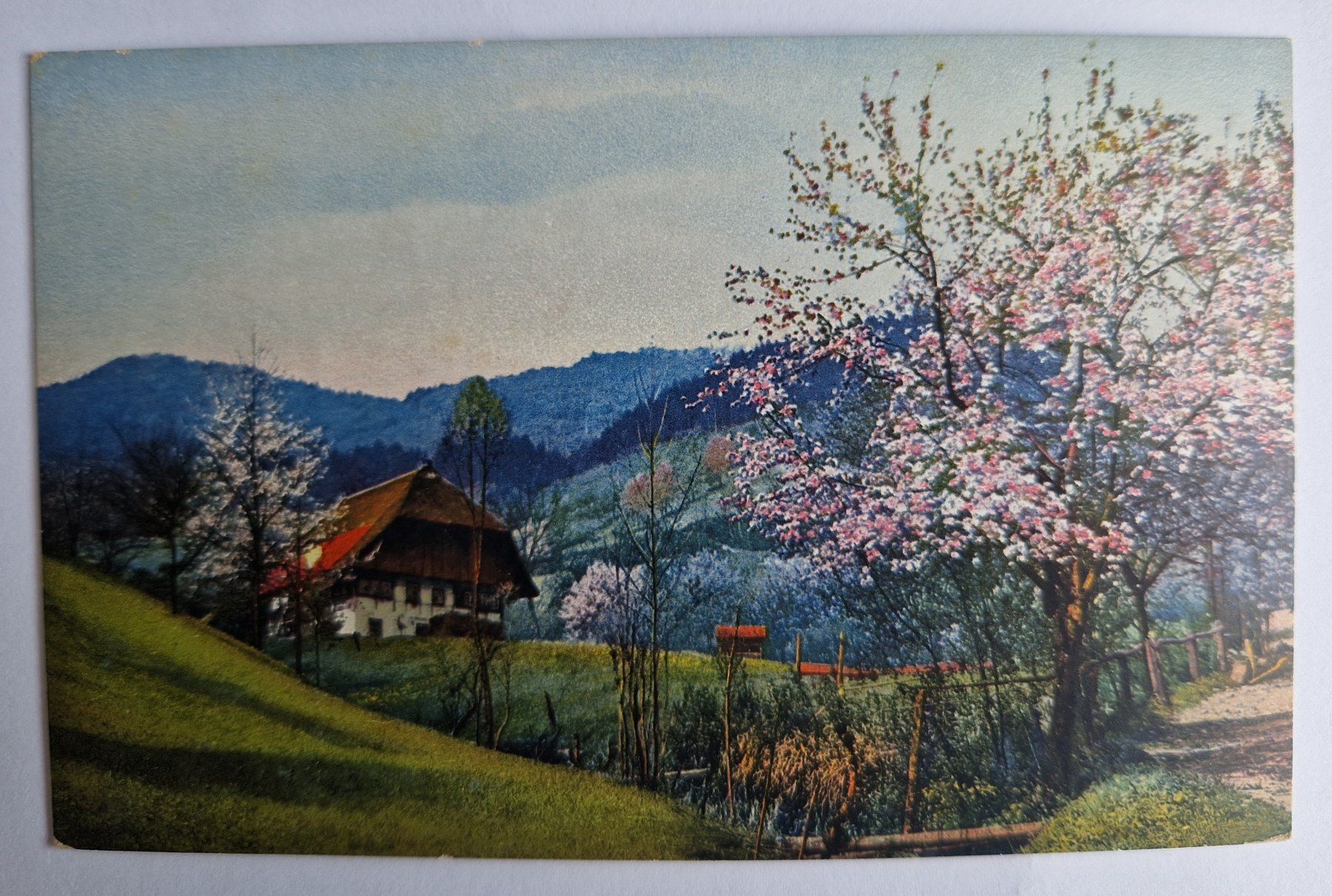 Cartoline postali: Frühlingslandschaft top – Nuovo (secondo la descrizione) da Melchnau venduto da Fishel