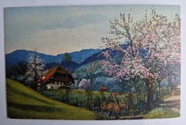 Frühlingslandschaft top