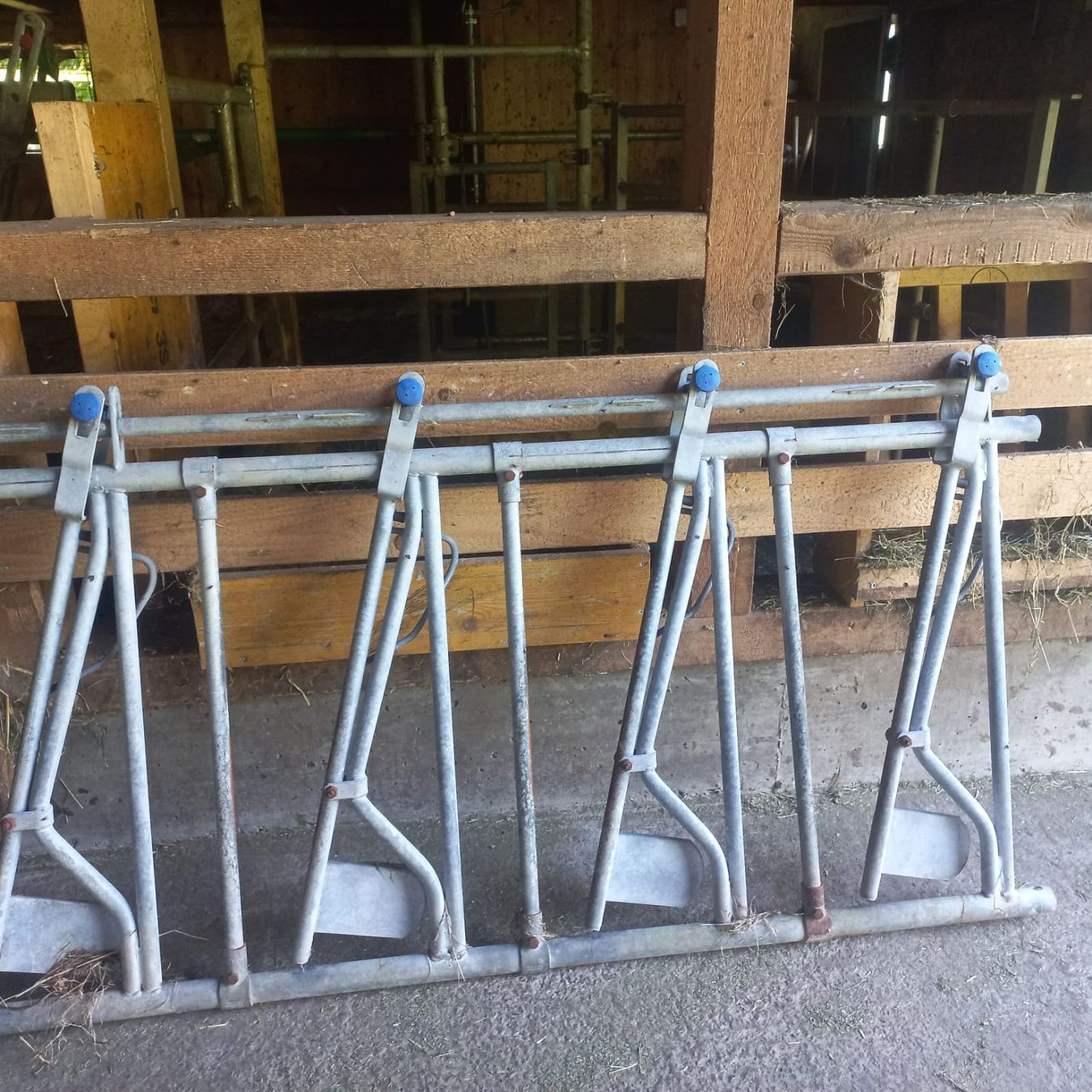 Altro in Accessori per animali: Fressgitter für Kälber – Usato da Rieden SG venduto da Sirene6 2