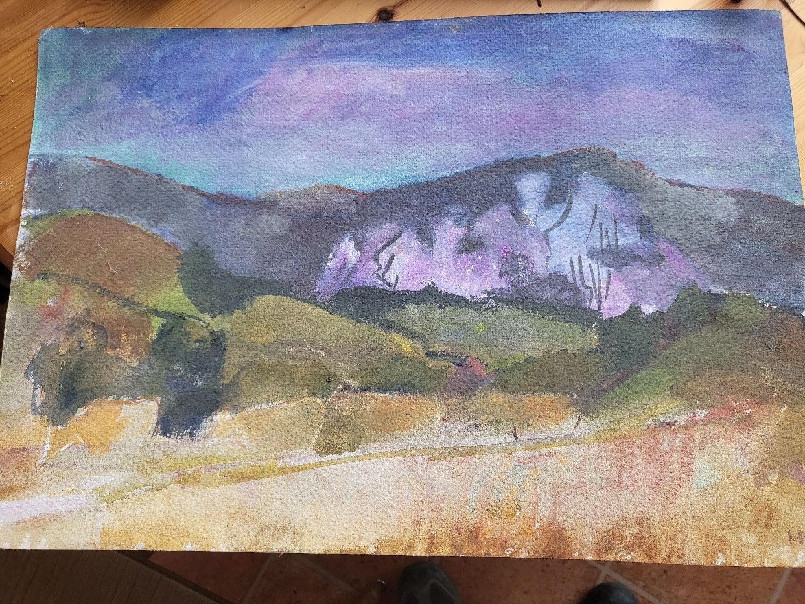 Dipinti: Aquarell von Hans Wieland – Usato da Welschenrohr venduto da Fenn-60