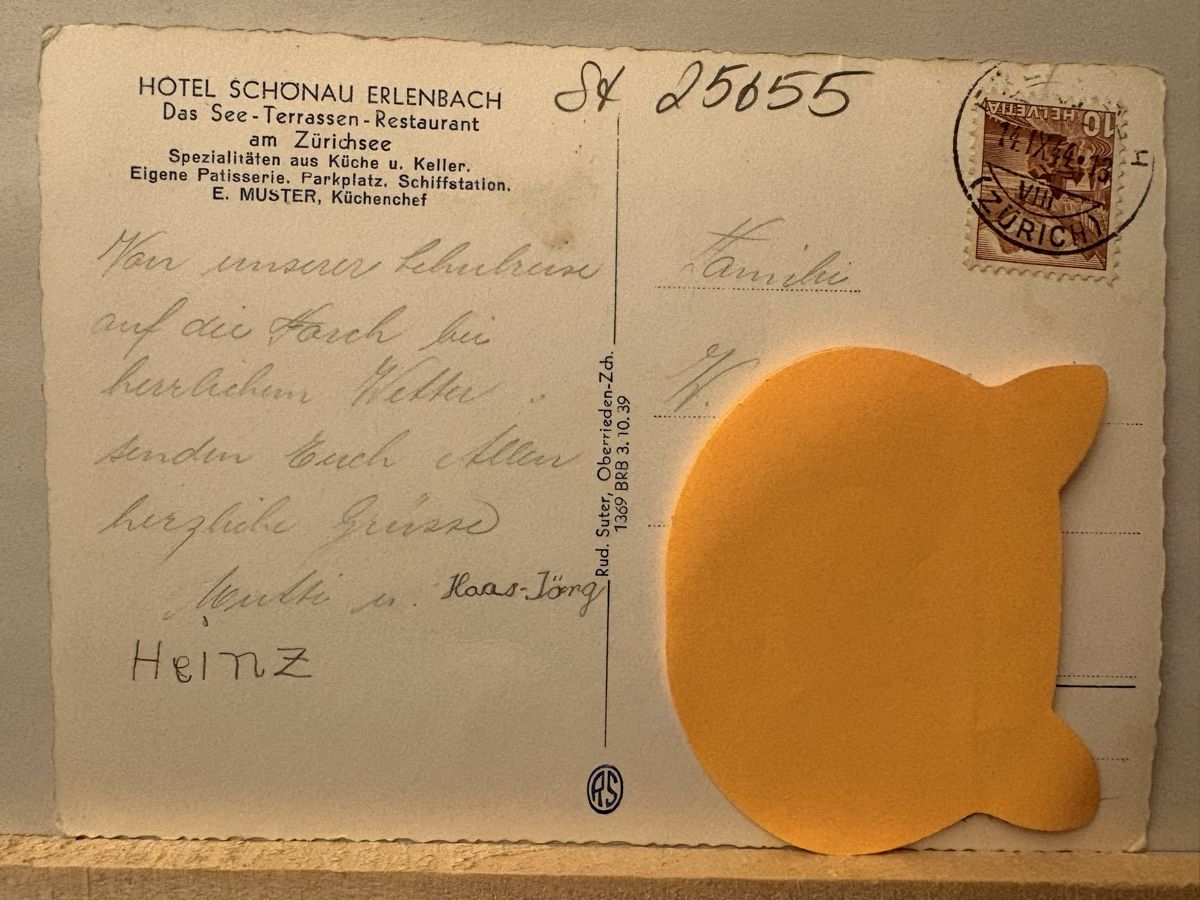 Cartoline postali: AK von Schiff bei Erlenbach – Usato da Rümlang venduto da Brieftaube1 1