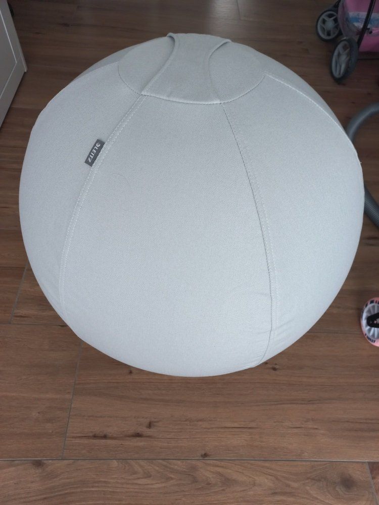 Palloni: Leitz Ergo Active Sitzball mit Anti-Wegroll-Design, 65cm – Nuovo (secondo la descrizione) da St. Gallen venduto da janetmani2002