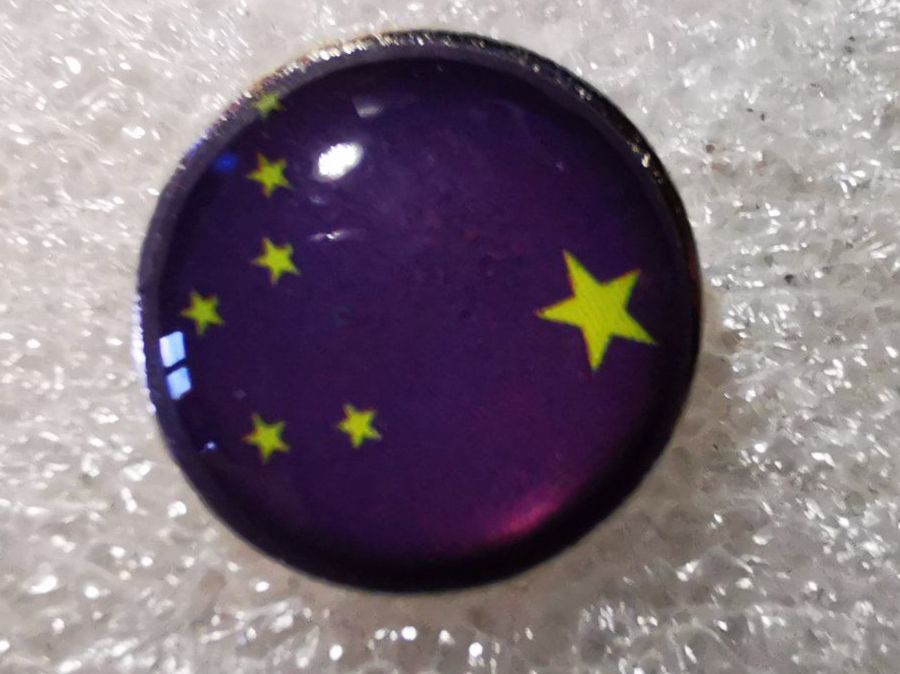 Spille & Fermagli: Ansteckpin 1: Flagge US Bundesstaat – Usato da Oppligen venduto da Pin-Fall-Shop