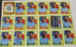 Panini WM 2026 - DR Kongo Set 18 Stk inkl Wappen & Teambild