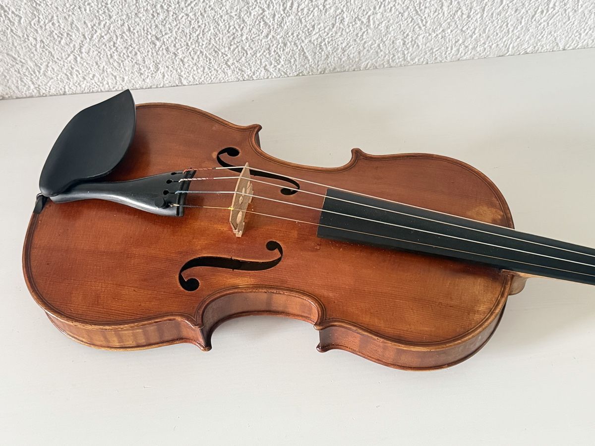 Strumenti musicali: Violon Allemand 4/4 – Usato da bassecourt venduto da LiN2004