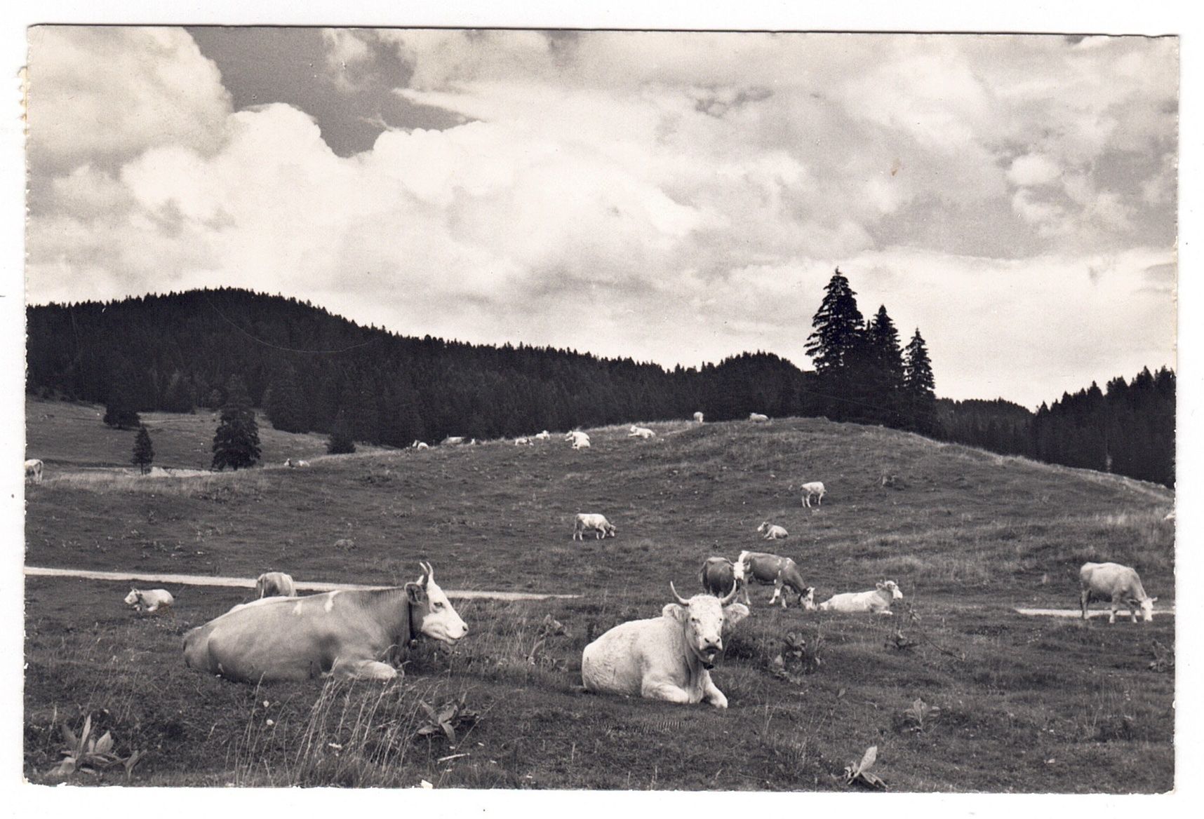 Cartoline postali: Givrine sur St.Cergue – Usato da La Tour-de-Peilz venduto da amjust
