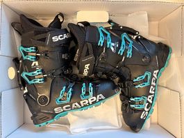 Scarpa 4-Quattro Tourenskischuh MP 24.0 (38)