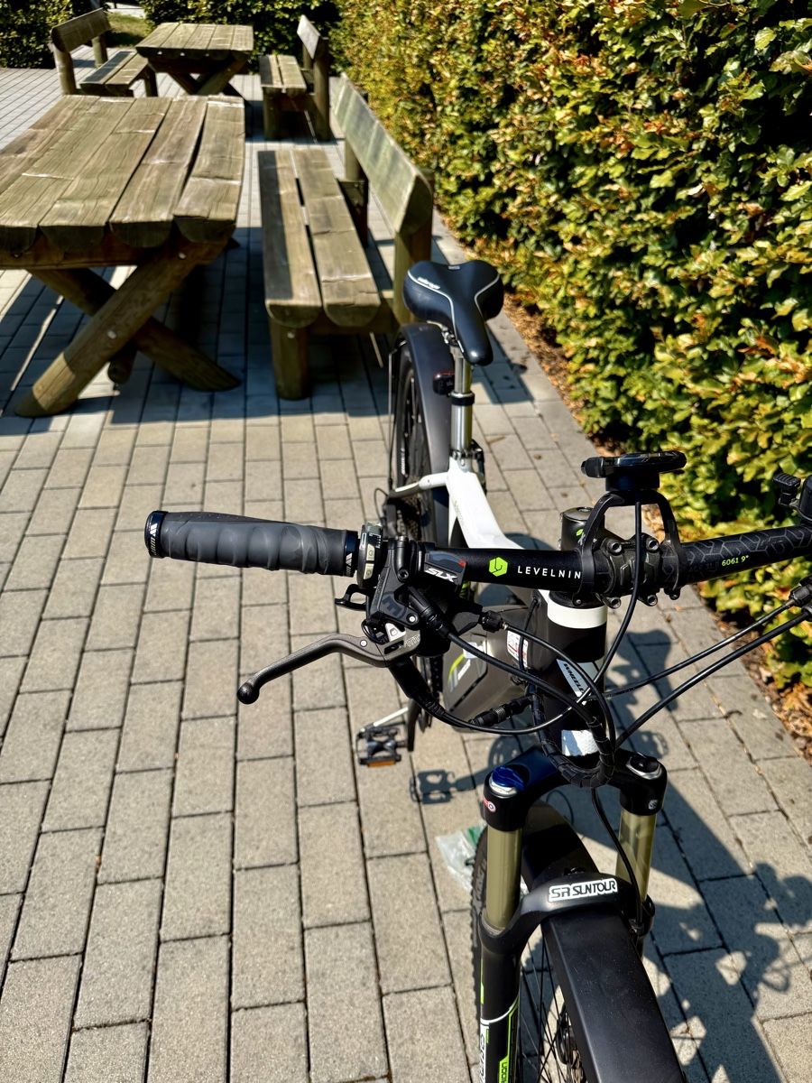 Wheeler Velos: E-Bike Wheeler E-Passera Hardtail – Gebraucht aus Walchwil von lion1366 5