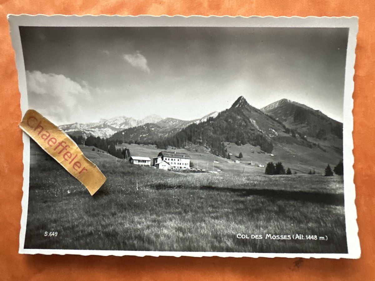 Cartoline postali: Originale Vintage Ansichtskarte Col des Mosses, Schweiz! – Usato da Zürich venduto da Chaeffeler