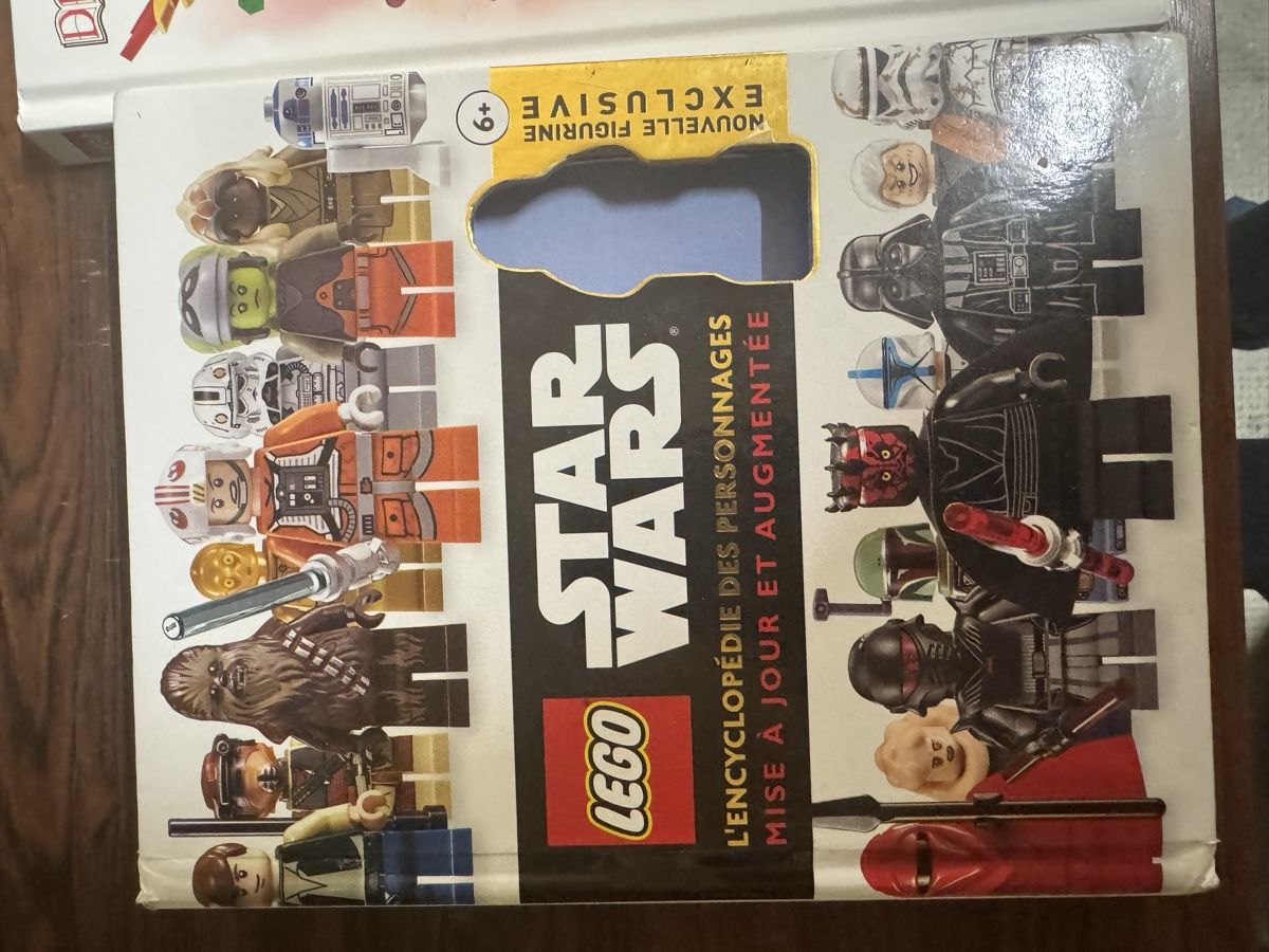 Libri: Lot de 4 livres Lego – Usato da Lausanne venduto da Michel_Ozcan 1