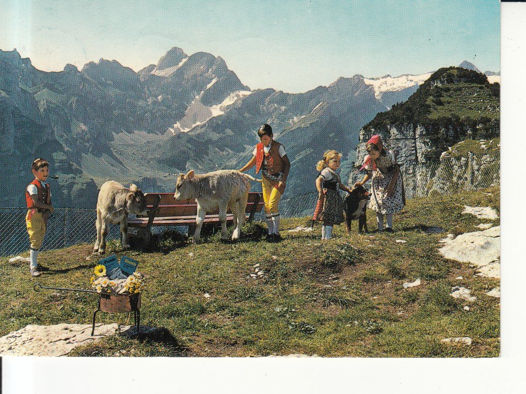 Cartoline postali: Ebenalp 1977 – Usato da Bürglen TG venduto da StampGraf
